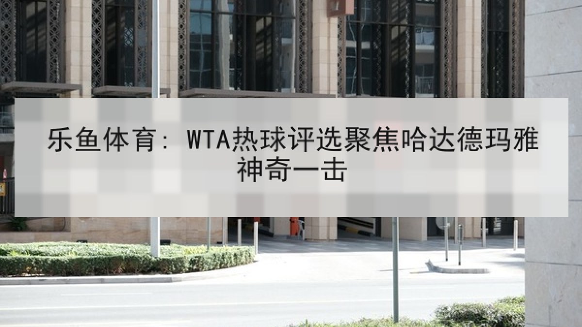 乐鱼体育: WTA热球评选聚焦哈达德玛雅神奇一击