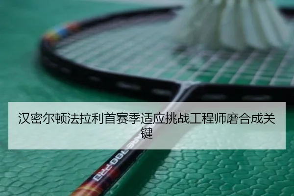 汉密尔顿法拉利首赛季适应挑战工程师磨合成关键