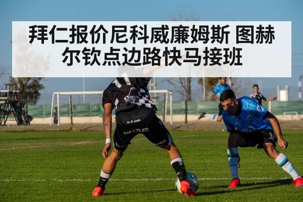 拜仁报价尼科威廉姆斯 图赫尔钦点边路快马接班